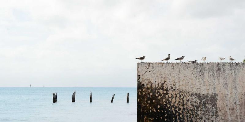 中山包装公司如何通过专业印刷服务与包装盒定制赢得市场