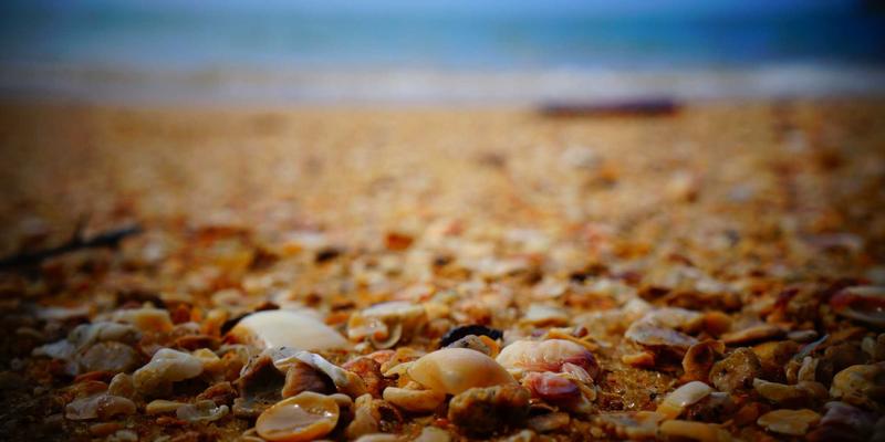 从传统到创新：纸基包装材料的强度增强技术与表面处理工艺演进