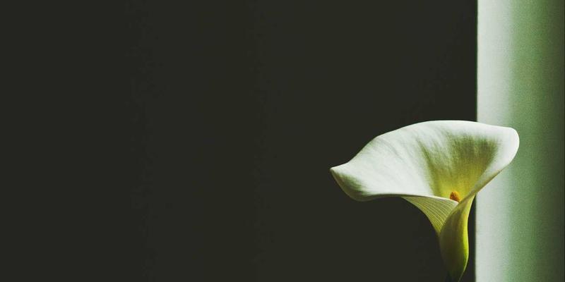 从标签印刷到包装盒定制：可降解材料如何重塑电商物流的环保未来