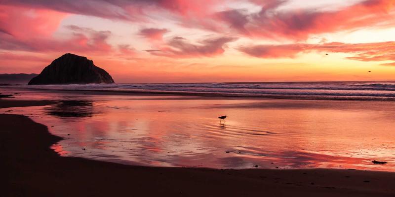 包装材料全解析：从基础定义到专业选择，三和包装与标签印刷的现代解决方案