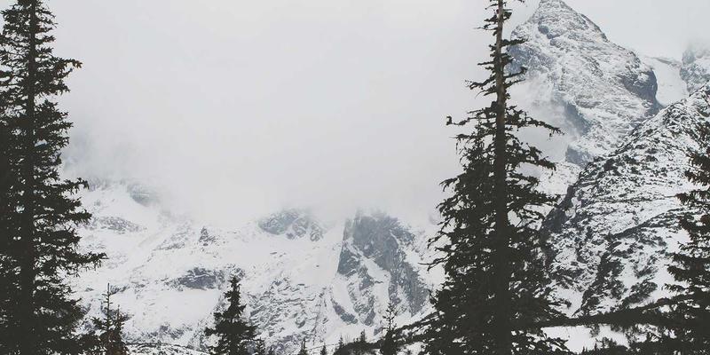 化妆品包装材料的创新设计与可持续性：印刷服务与包装盒定制的未来趋势