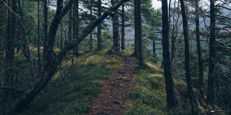 危险品运输包装合规指南：UN认证标准与新型阻隔材料的深度解读