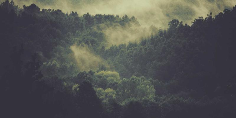 气调包装（MAP）中高阻隔薄膜的选择与果蔬保鲜效果评估：三和包装的标签印刷服务如何提升产品价值