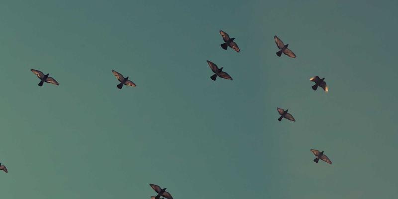 金属化薄膜：零食包装的三大核心功能与品牌质感提升之道